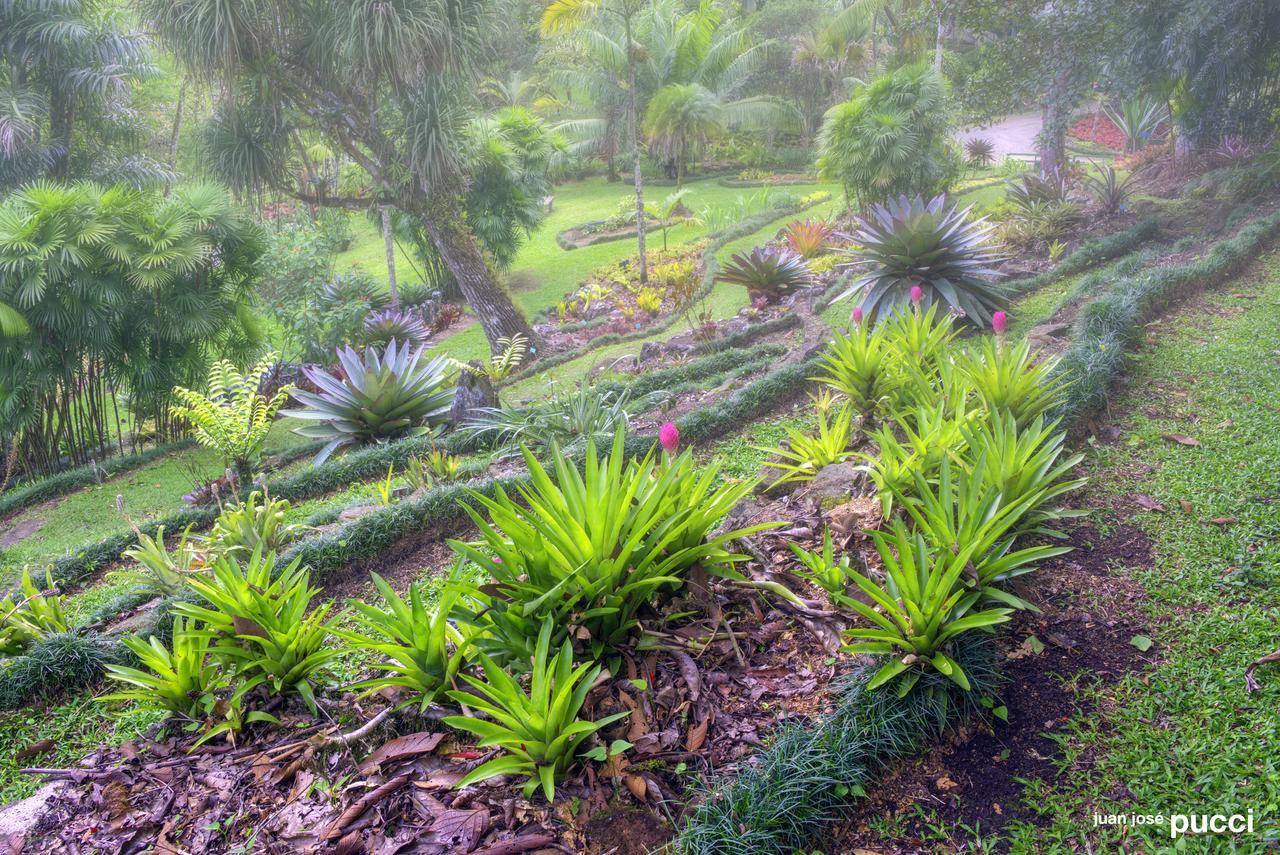 Estacion Biologica Las Cruces Y Jardin Botanico Wilson San Vito Екстериор снимка
