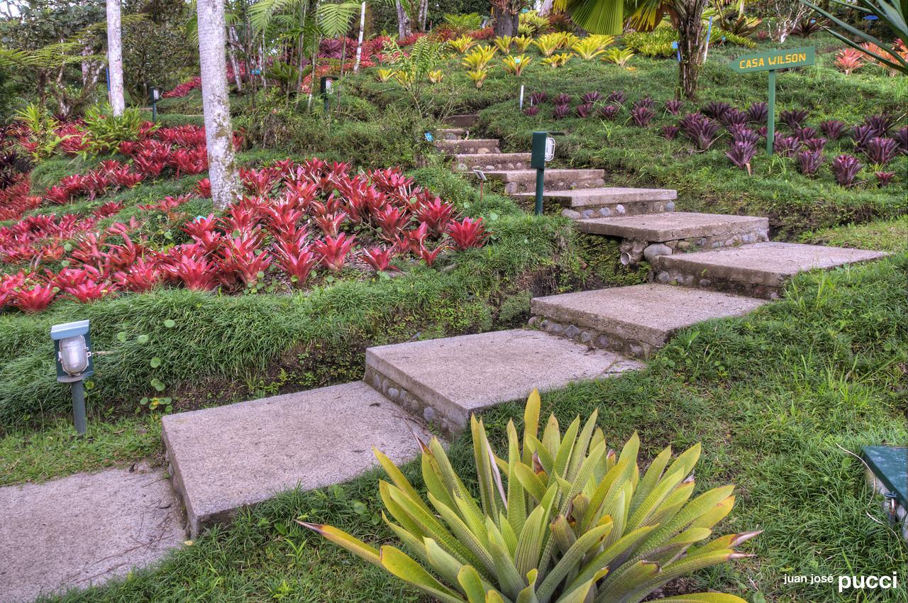 Estacion Biologica Las Cruces Y Jardin Botanico Wilson San Vito Екстериор снимка