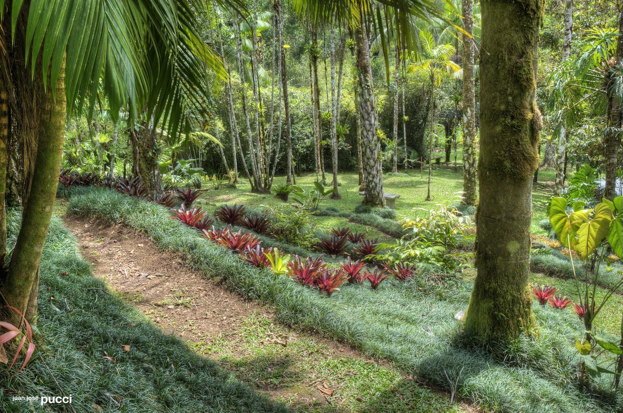 Estacion Biologica Las Cruces Y Jardin Botanico Wilson San Vito Екстериор снимка