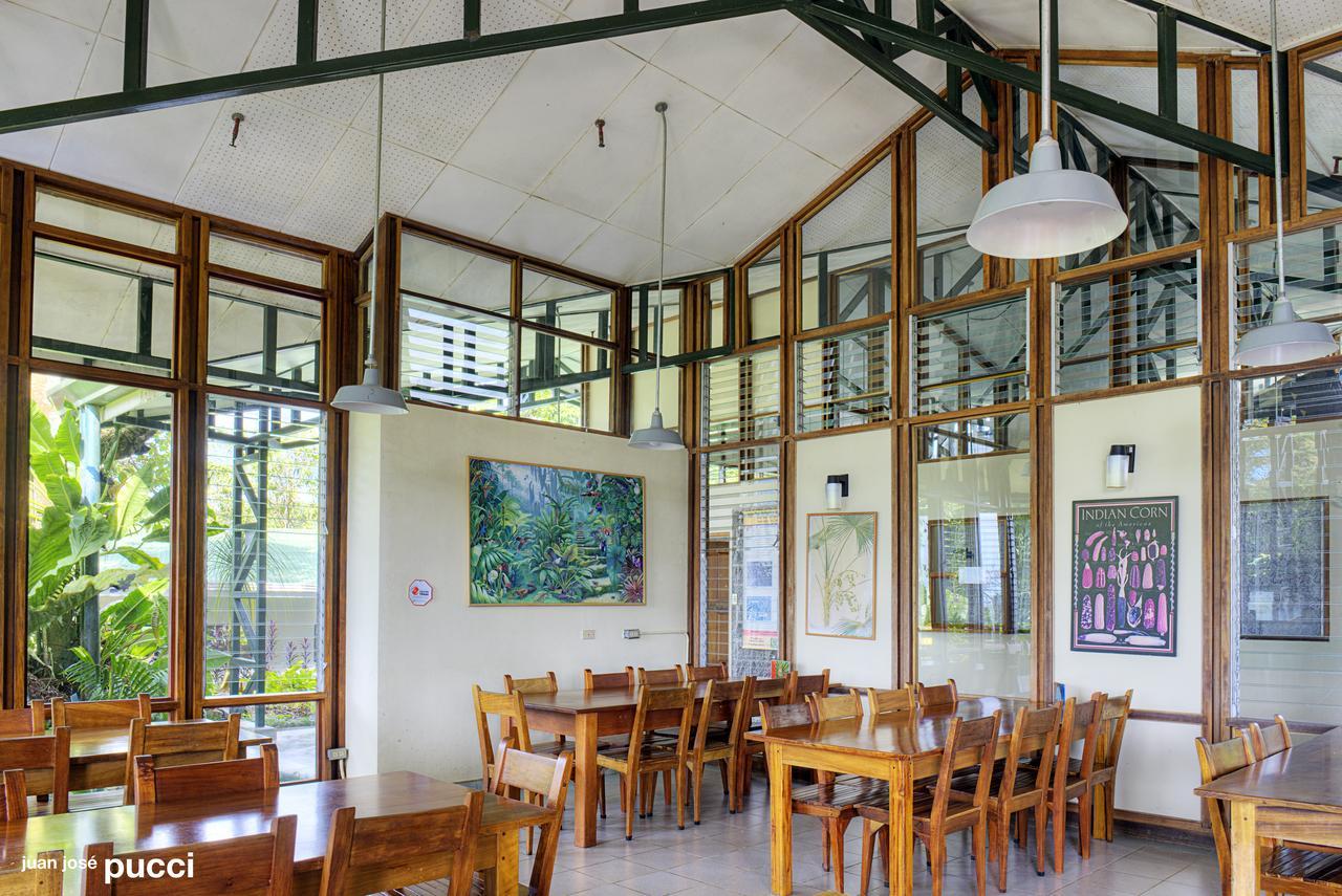 Estacion Biologica Las Cruces Y Jardin Botanico Wilson San Vito Екстериор снимка