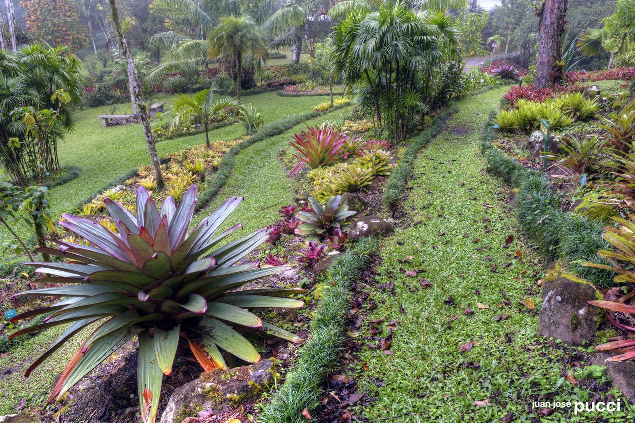Estacion Biologica Las Cruces Y Jardin Botanico Wilson San Vito Екстериор снимка